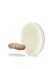 Load image into Gallery viewer, Harvest Esthetic DCL Denture