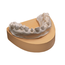 Load image into Gallery viewer, Whip Mix Flow Stone - Fluid, low expansion base stone gypsum.