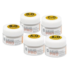 Load image into Gallery viewer, Shofu Vintage Pro 6G-Dental PORCELAIN Opaque Paste