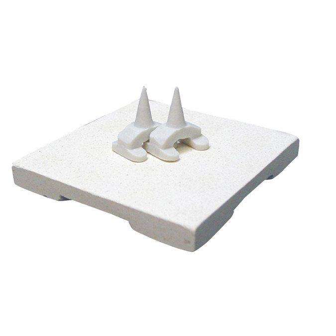 Ceramic Trays