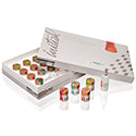 GC Initial LiSi Basic Porcelain Kit