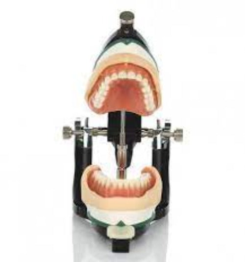 Curved Plate For Luxury Deluxe Articulator